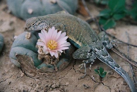 196c4167979e3c0bdbdac49a686a7425