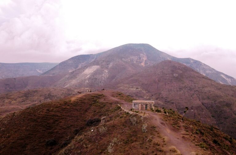 22f4d456fac56238bb9b82145a2a0c8d