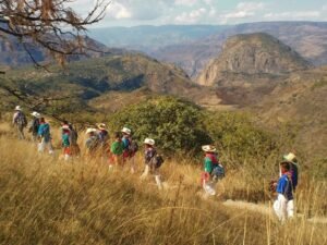 4b1c35653df1f4f60a09e923d6b2c57f