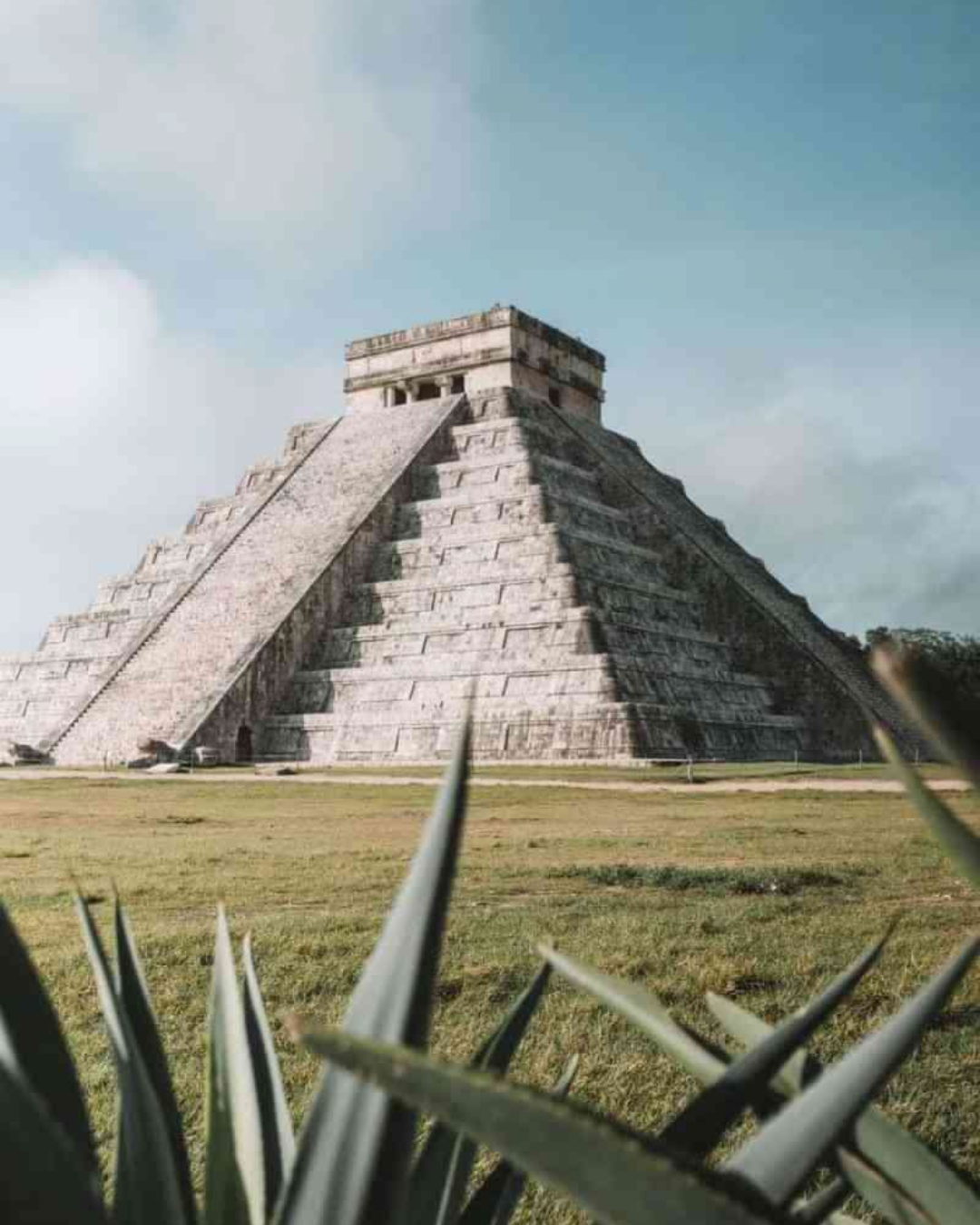 29